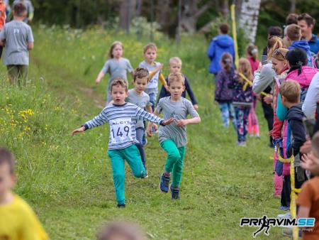 Uspešno izveden 34. Mekinjski kros (5)